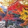 足町 足町
