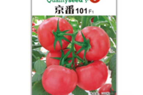 京番101 京番101