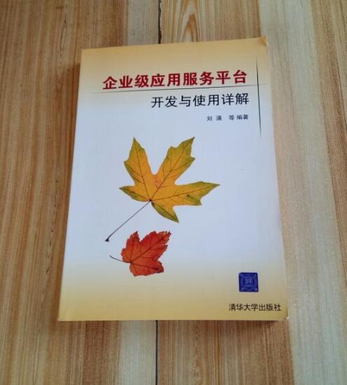 企業級套用服務平台開發與使用詳解