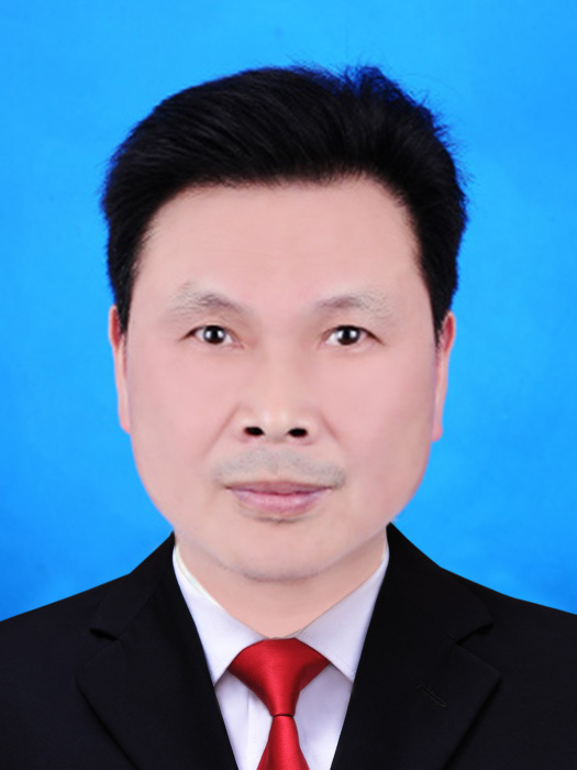 孫進新(鹹寧市崇陽縣教育局原四級調研員) 孫進新(鹹寧市崇陽縣教育局原四級調研員)