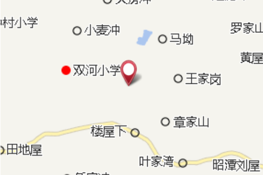 張義沖 張義沖