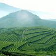 福泉山景區 福泉山景區
