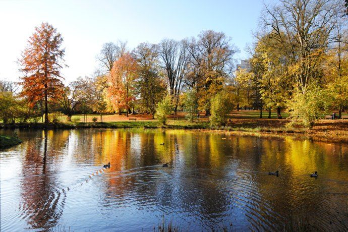 療養公園 療養公園