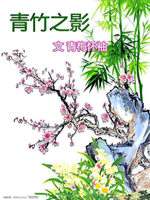 青竹之影 青竹之影