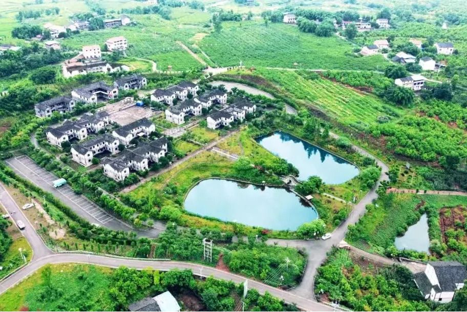 會龍村(四川省廣安市前鋒區代市鎮下轄行政村) 會龍村(四川省廣安市前鋒區代市鎮下轄行政村)