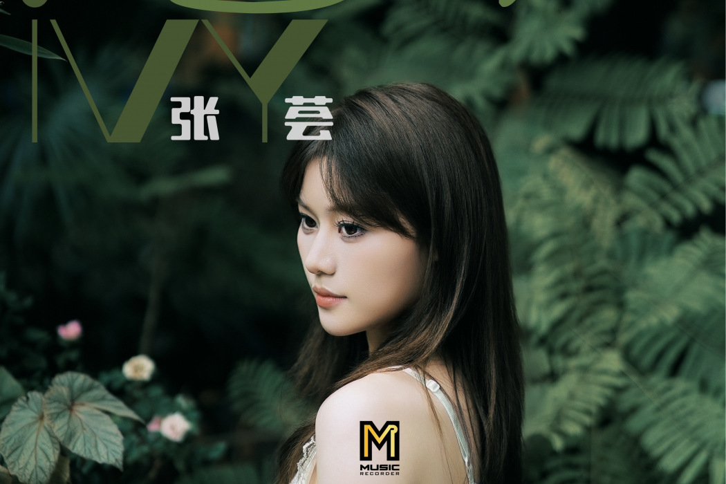 過渡(張薈演唱歌曲) 過渡(張薈演唱歌曲)