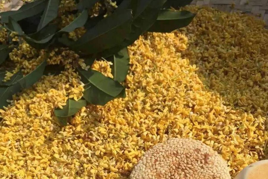 桂花茄子餅 桂花茄子餅
