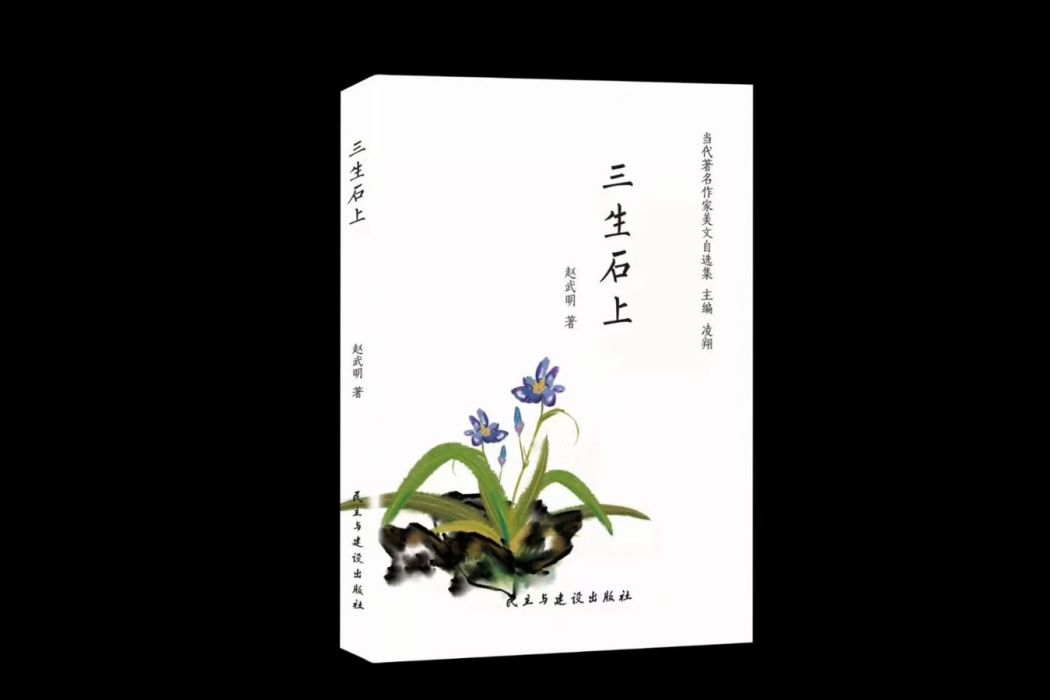 三生石上(民主與建設出版社出版圖書) 三生石上(民主與建設出版社出版圖書)