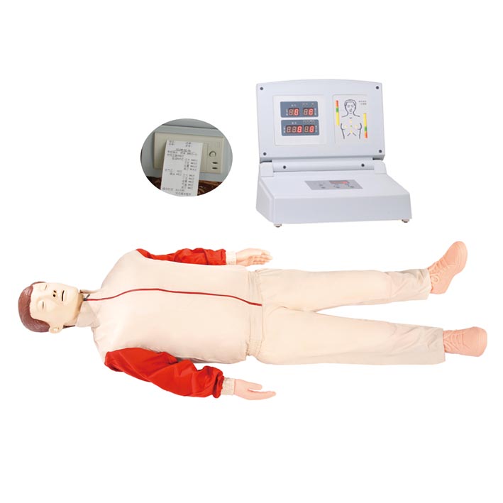 CPR480人體急救模型