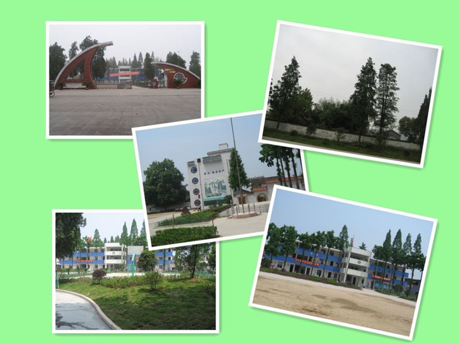 碧湖國小 碧湖國小