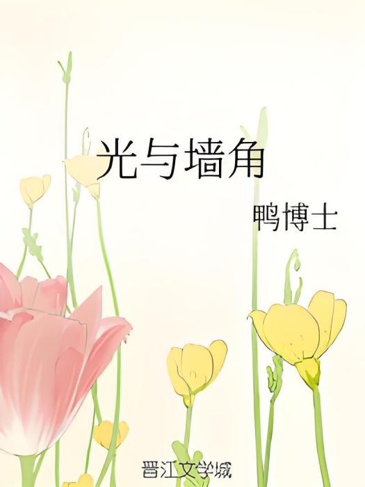 光與牆角 光與牆角