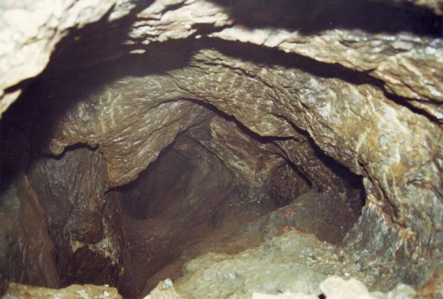 樂馬廠 樂馬廠