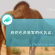駱駝(電腦黑客代名詞) 駱駝(電腦黑客代名詞)