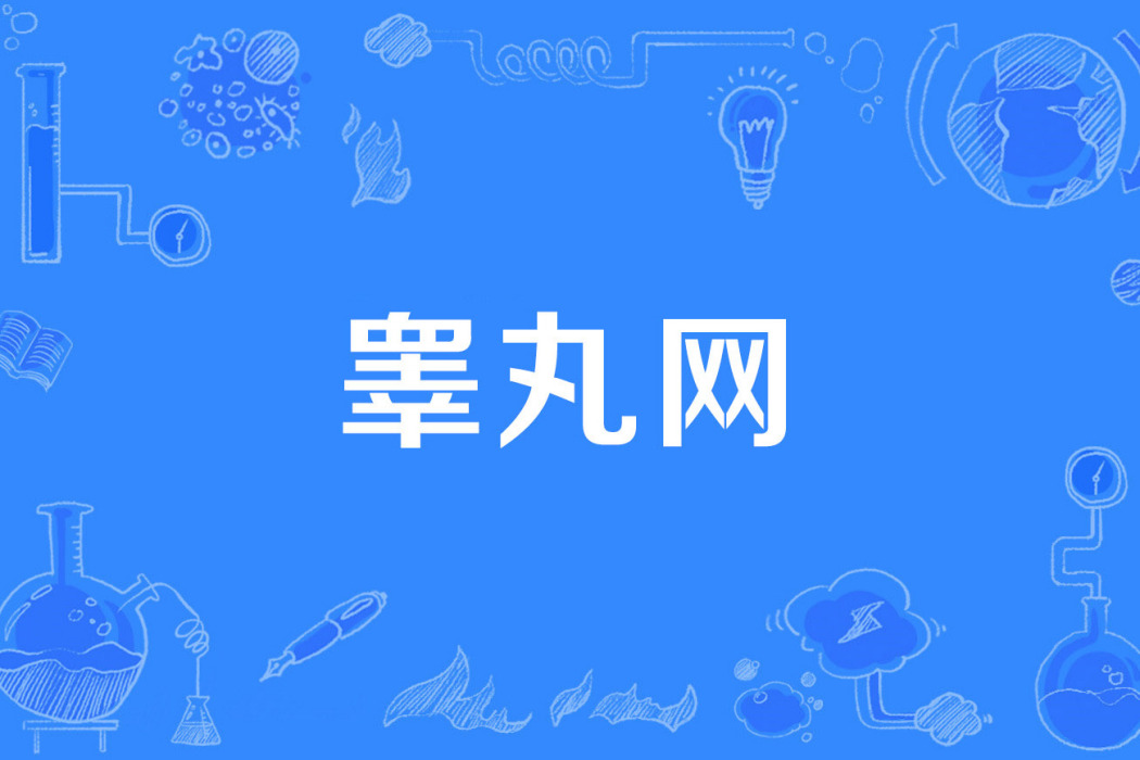 睪丸網 睪丸網
