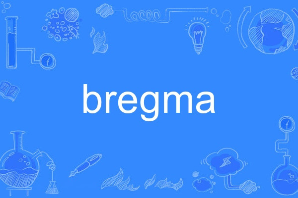 bregma bregma
