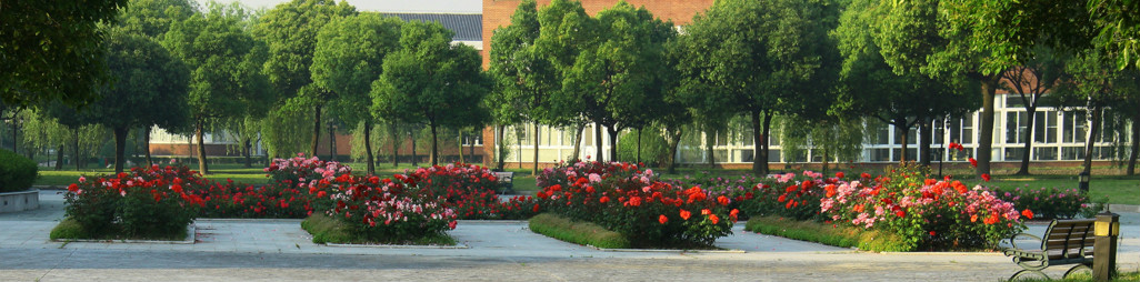 上海立達學院(上海立達職業技術學院)