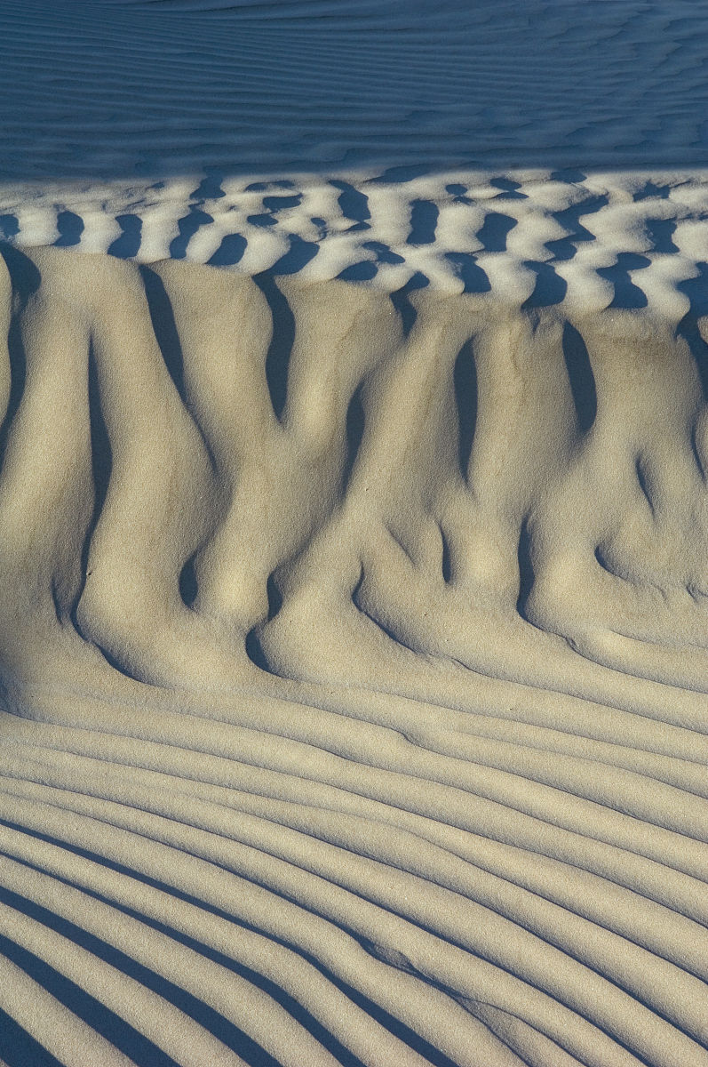 沙丘形態