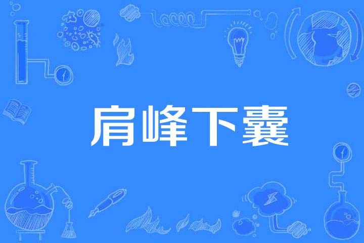 肩峰下囊 肩峰下囊