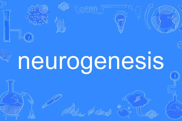 neurogenesis neurogenesis