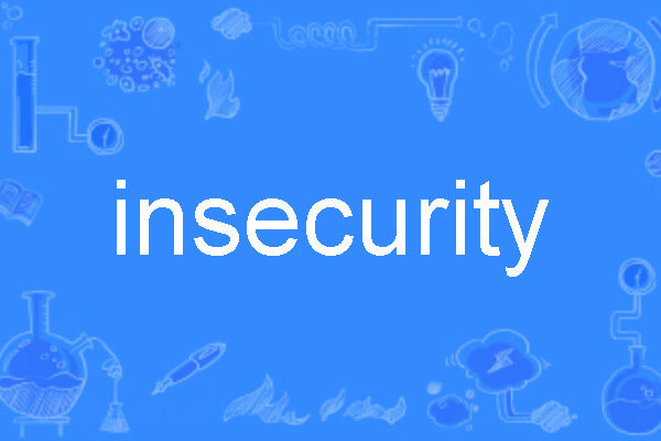 Insecurity Insecurity