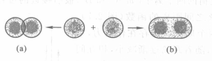 （a）原子軌道重疊；（b）分子軌道