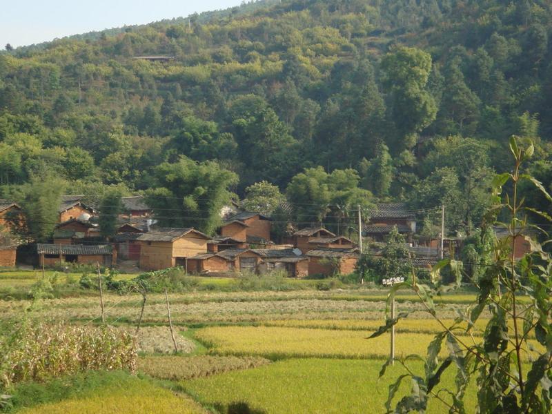 永兆上村