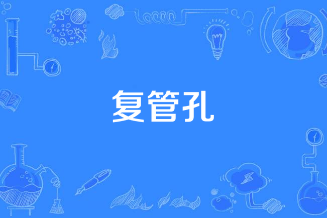 復管孔 復管孔