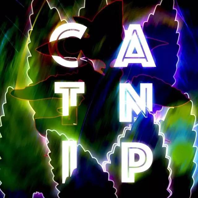 Catnip(李泫憙演唱歌曲)