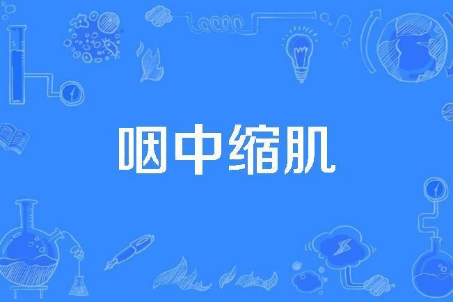 咽中縮肌 咽中縮肌