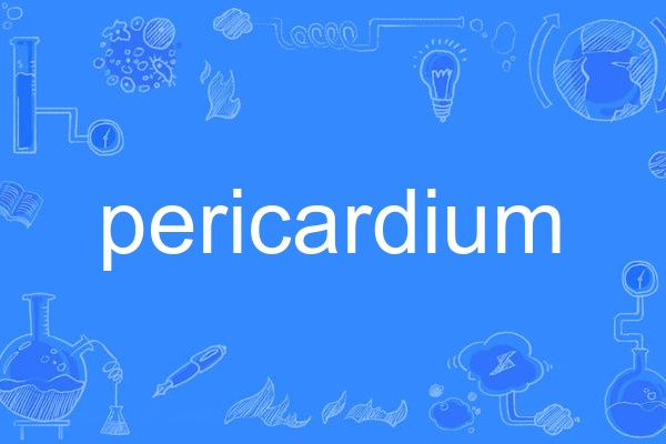 pericardium pericardium