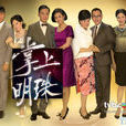 掌上明珠(2010年林志華執導TVB無線家族爭產電視劇)