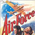 空軍(air force)