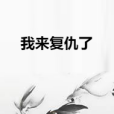我來復仇了 我來復仇了