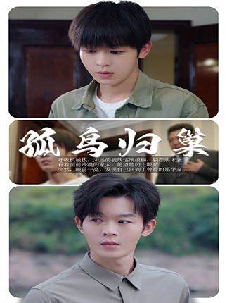 孤鳥歸巢 孤鳥歸巢