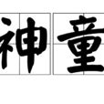 神童(漢語詞語)