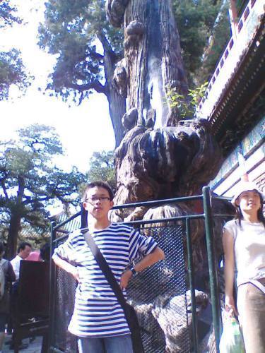 殷鐸 殷鐸