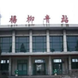 楊柳青站 楊柳青站