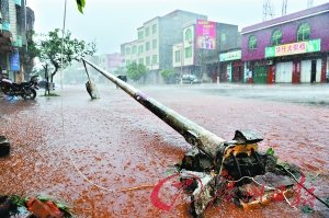 湛江徐聞街頭水浸，電線桿被吹倒。
