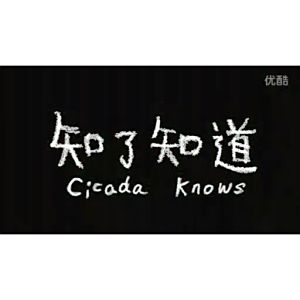知了知道 知了知道