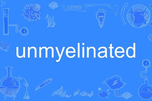 unmyelinated unmyelinated