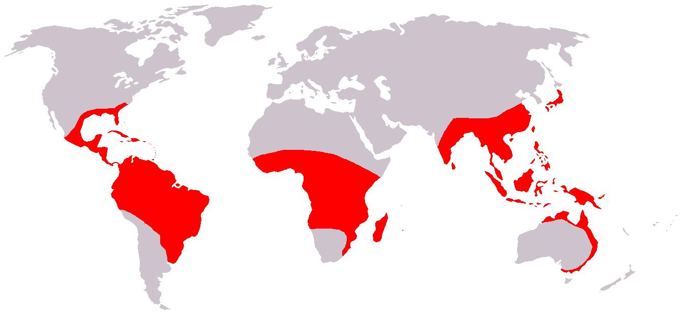 水玉簪科-世界分布圖