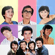 富貴榮華(1981年鄭少秋主演電視連續劇) 富貴榮華(1981年鄭少秋主演電視連續劇)
