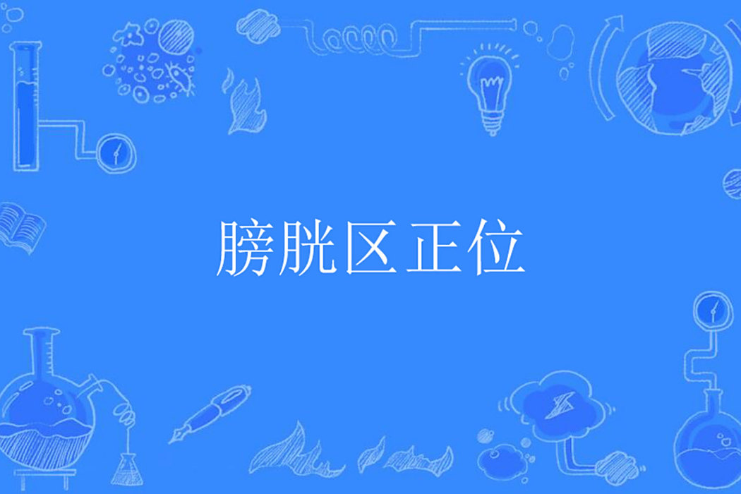 膀胱區正位