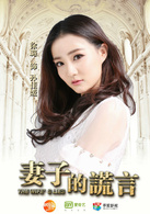 妻子的謊言(賈青、張曉龍主演電視劇)