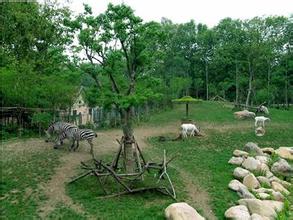 食草動物生態園