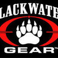 黑水國際(Blackwater Worldwide)