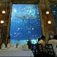 沉船餐廳 沉船餐廳