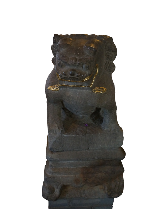 五代小獅子 五代小獅子