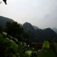 停雷屯 停雷屯