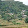 嶺頭村(湖南省寧遠縣中和鎮嶺頭村) 嶺頭村(湖南省寧遠縣中和鎮嶺頭村)